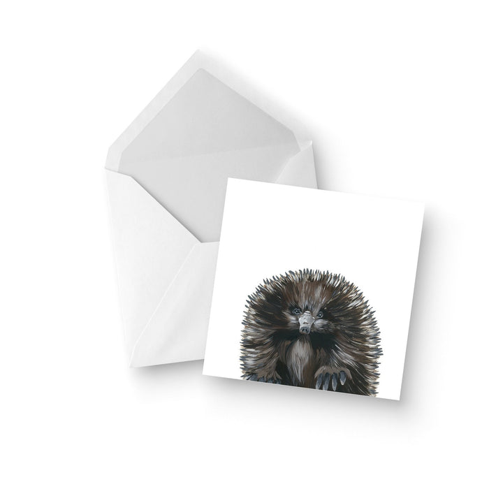 Australian Wildlife Echidna Greeting Card