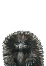 Load image into Gallery viewer, Australian Wildlife Echidna Art