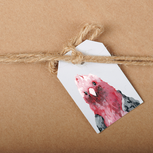 Wildlife Gift Tags Assorted 5 Pack