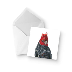 Australian Wildlife Gang Gang Cockatoo Greeting Card