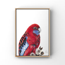 Load image into Gallery viewer, Crimson Rosella | A4 Original Painting
