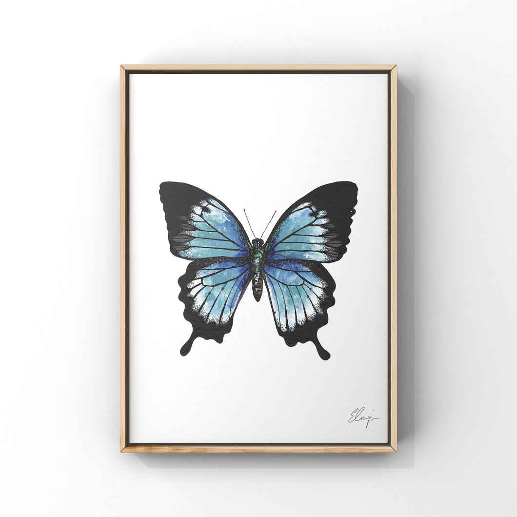 Ulysses Butterfly Painting