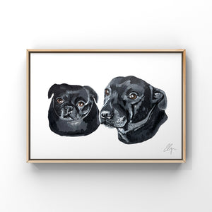 Framed painting of two black dogs. One dog is a pug and the other is a staffy. Both have brown eyes.
