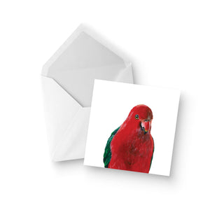 Australian Wildlife King Parrot Greeting Card