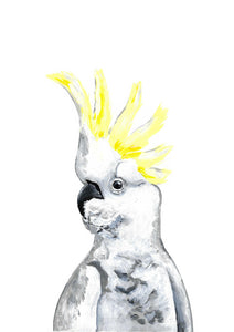 Australian Wildlife Yellow-Crested Cockatoo Print