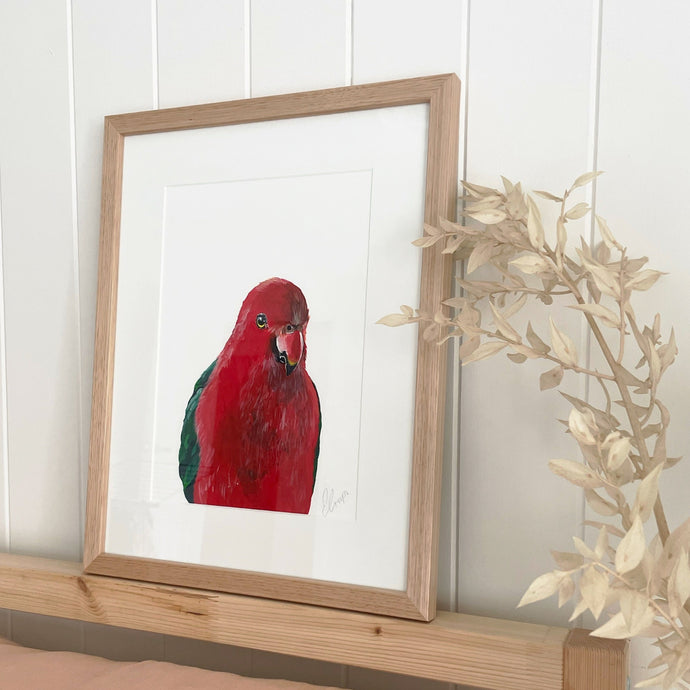 Framed King Parrot Painting